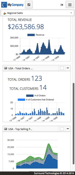 Line-of-Business Mobile Dashboard